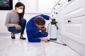 Best Pest Exclusion Services  in Centreville, VA